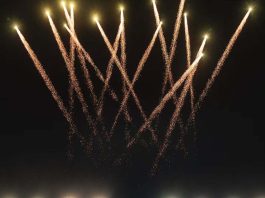 Waves 2025: A Celebration That Took Over Goa