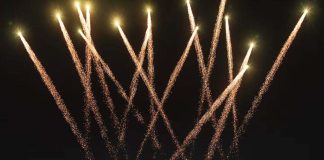 Waves 2025: A Celebration That Took Over Goa