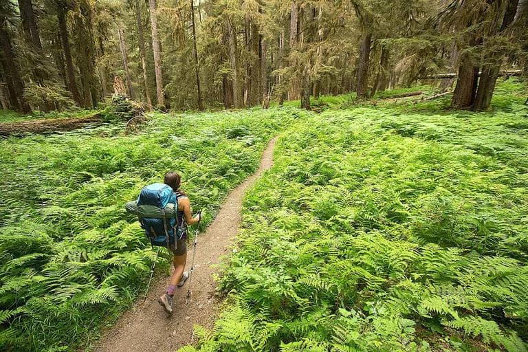 Environmental Career Paths Less Traveled