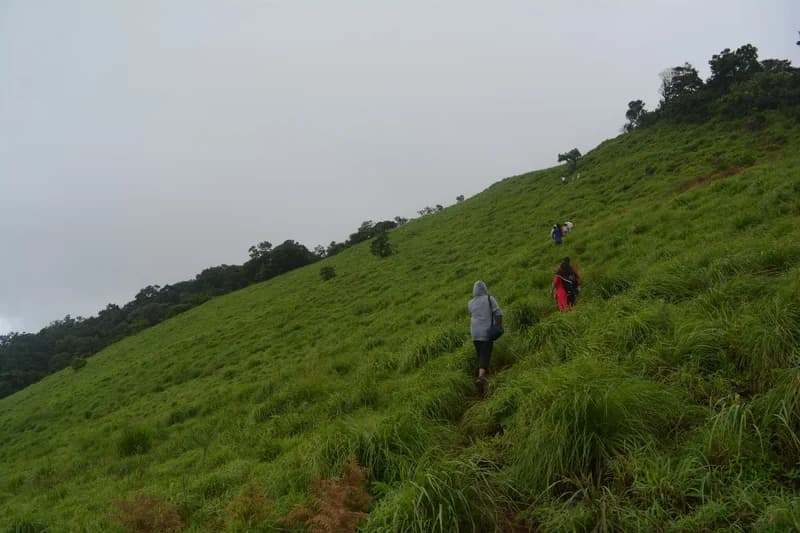 Monsoon Trekking: How to Ensure Safety D