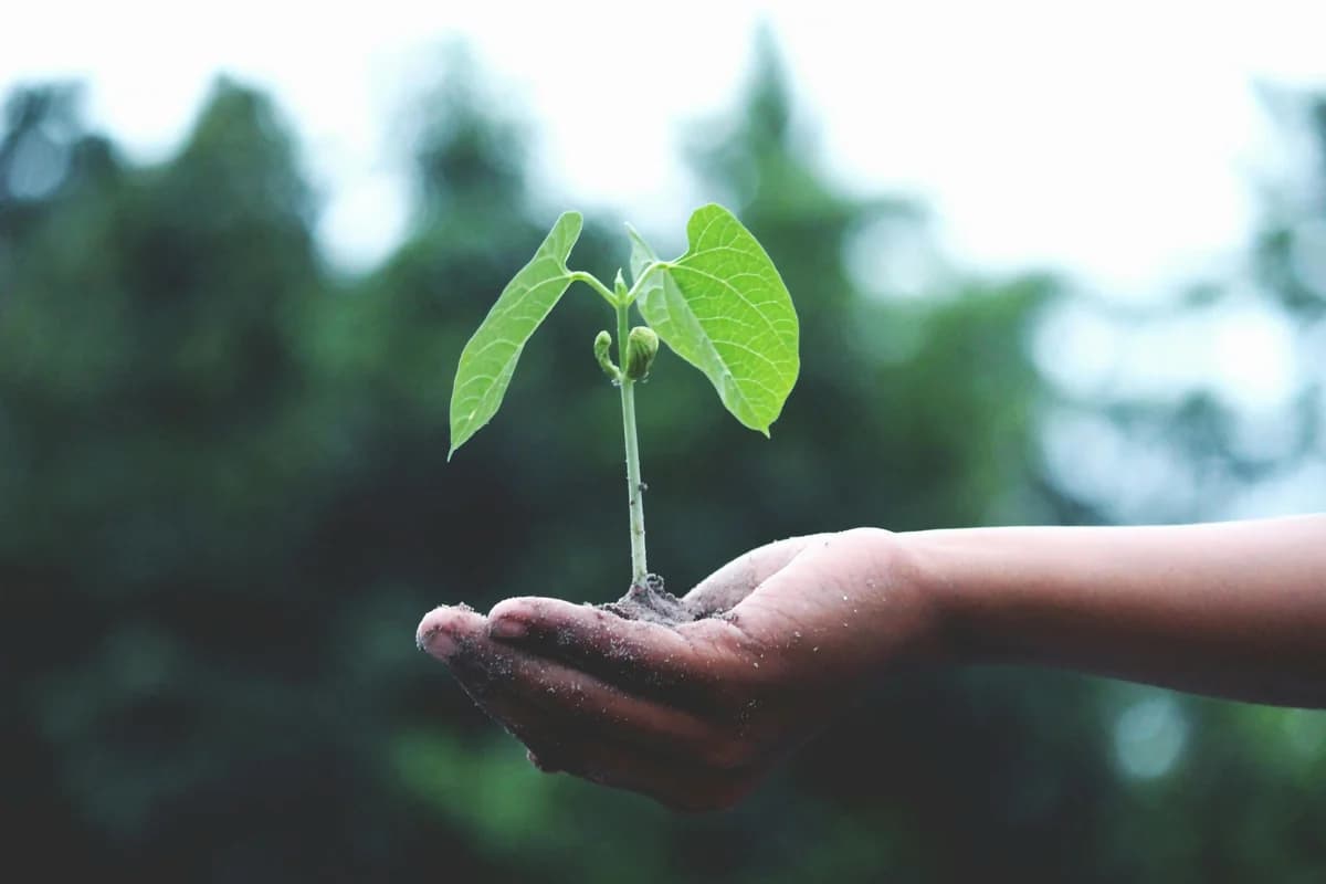 Environment-conscious initiatives by the Indian Government