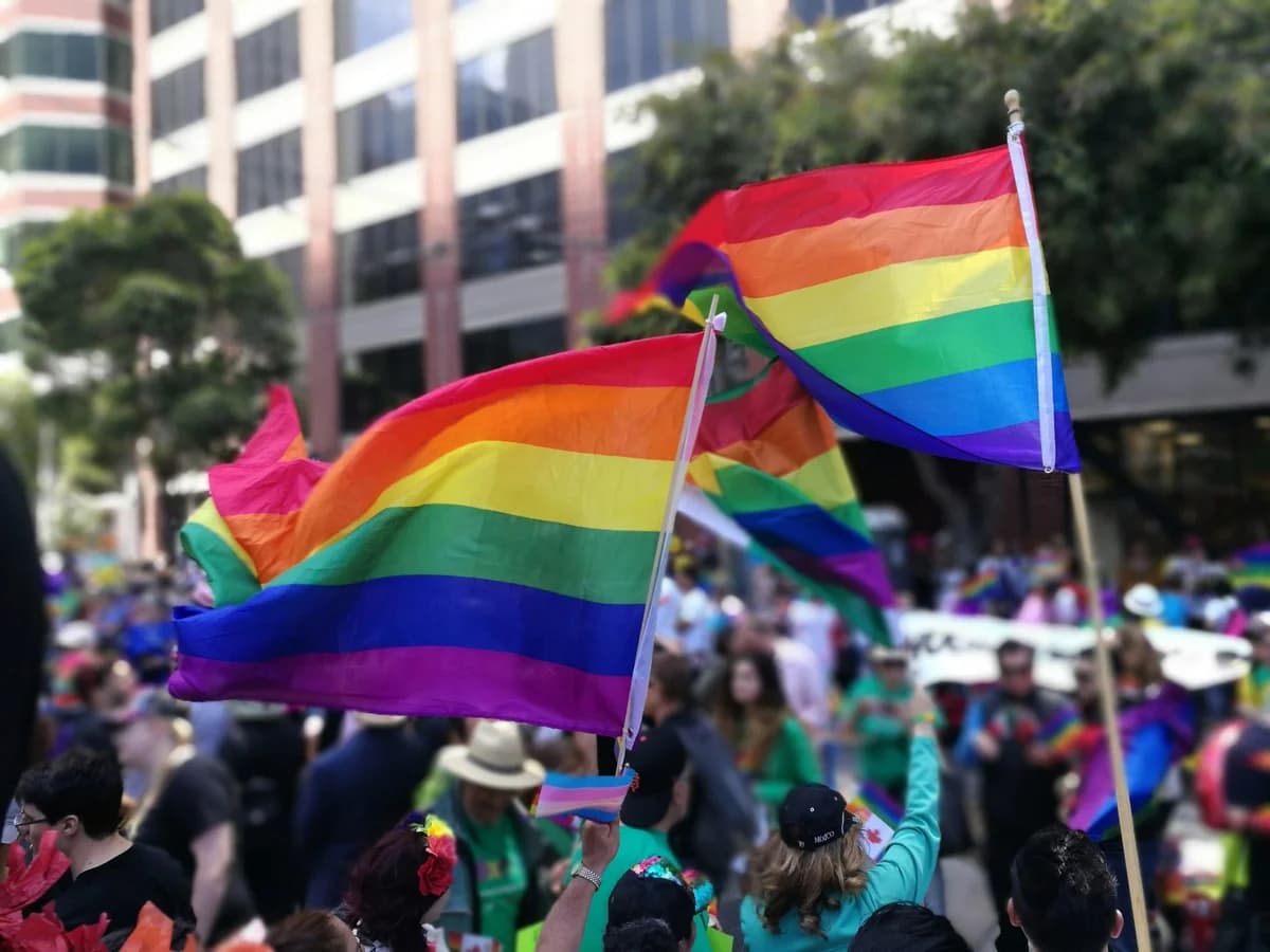 Divide Within The LGBTQ Community: Lesbi