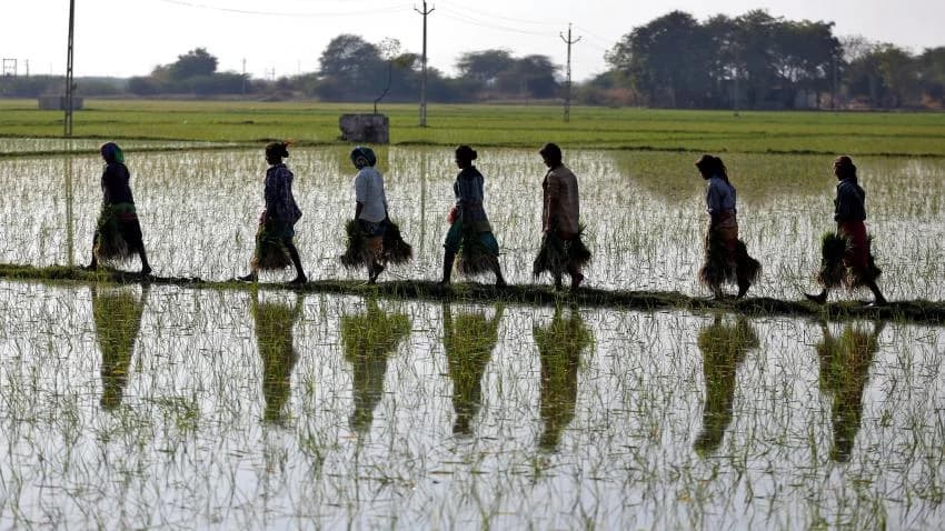 5 lakh WiFi spots to be installed in rur