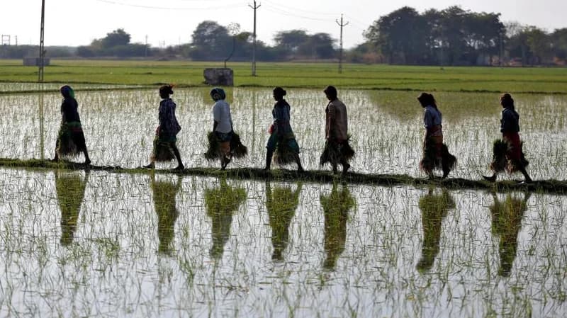 5 lakh WiFi spots to be installed in rur