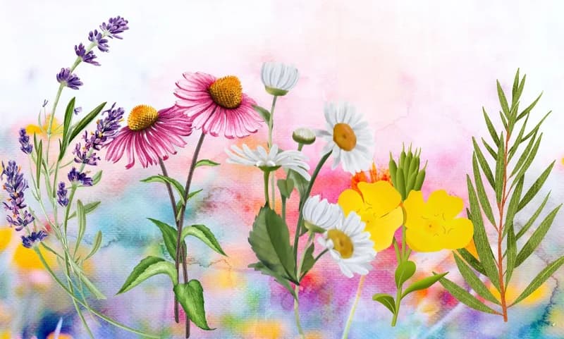 Harnessing The Healing Power Of Five Not