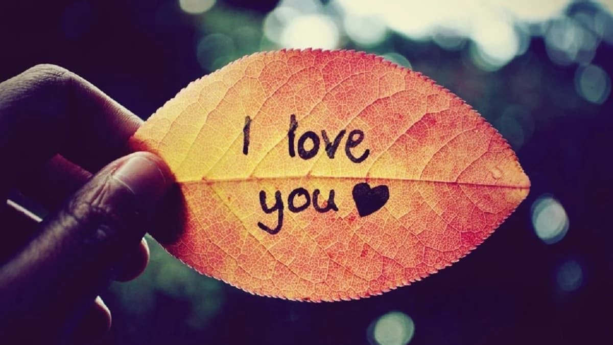 10 Things I Love About You