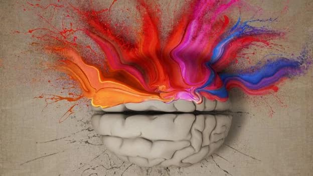 Tortured or Genius: Is Mental Health and