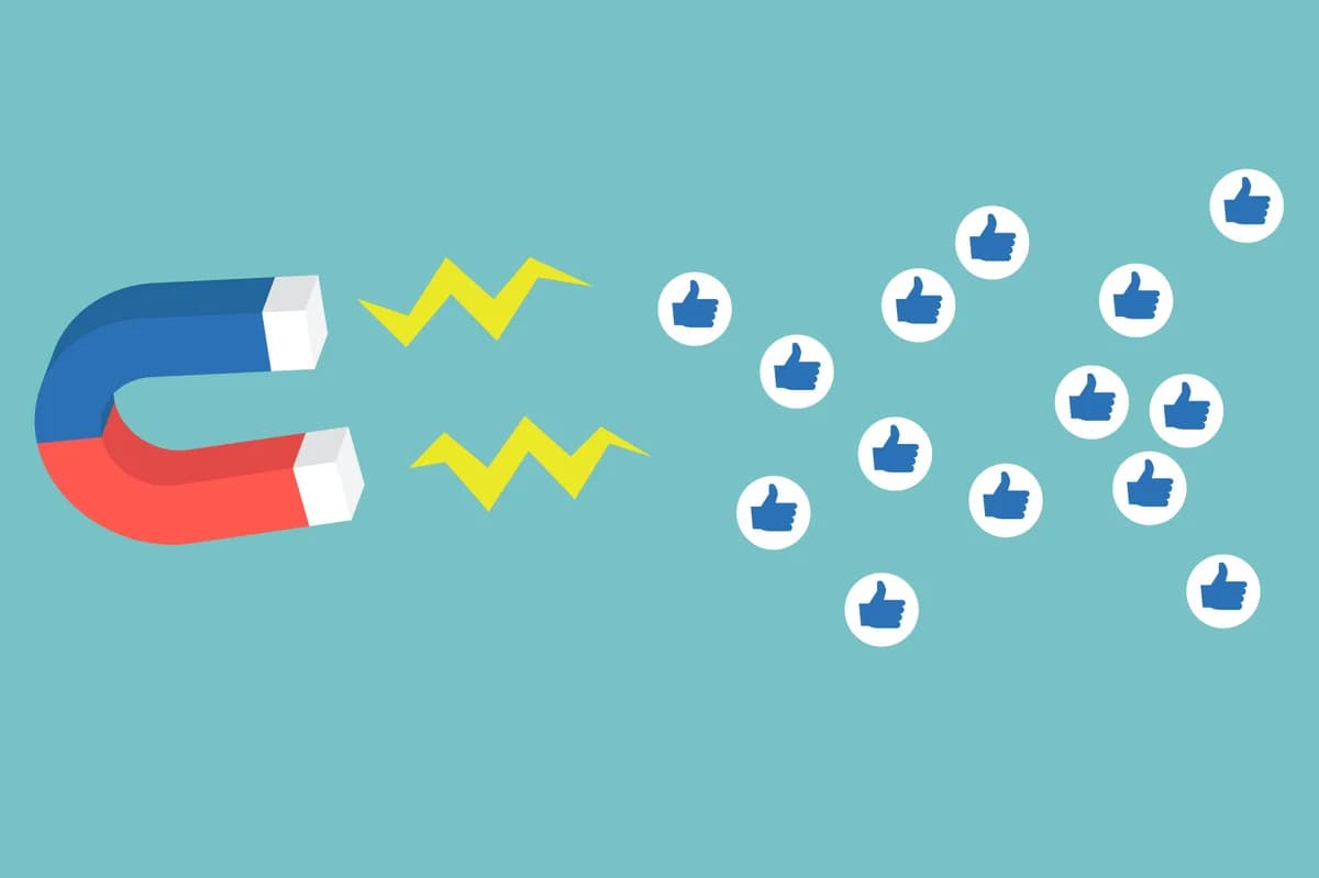 How Do I Become A Campus Influencer For 