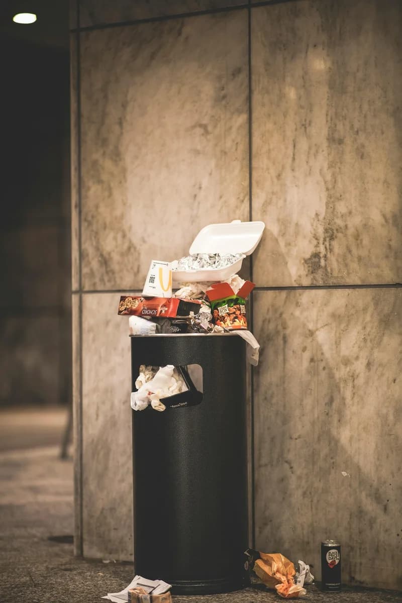 Piling Up, Wasting Away: The Harsh Reality of Food Waste