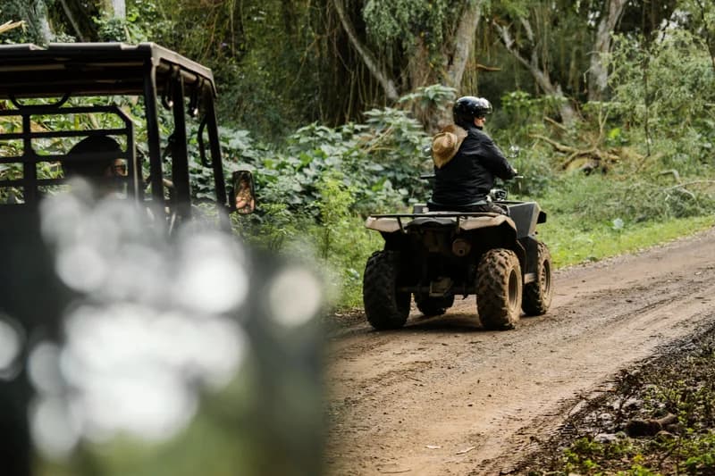 Monsoon safari