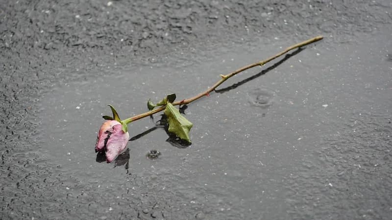 How Corrosive Is Acid Rain?