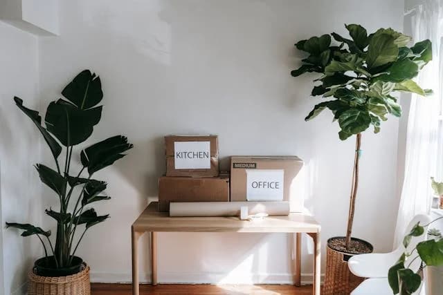 Moving Out vs Staying In: What You Shoul