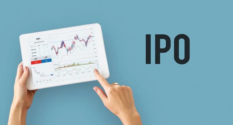 Initial Public Offerings (IPOs): What Yo