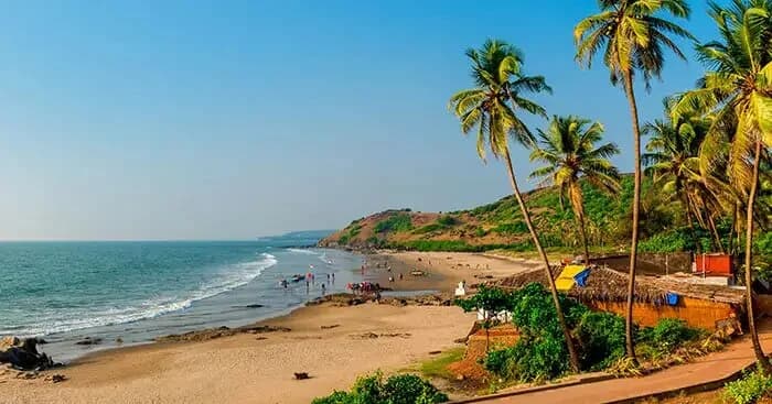 Getting To Know Goa Apart From Its Beach