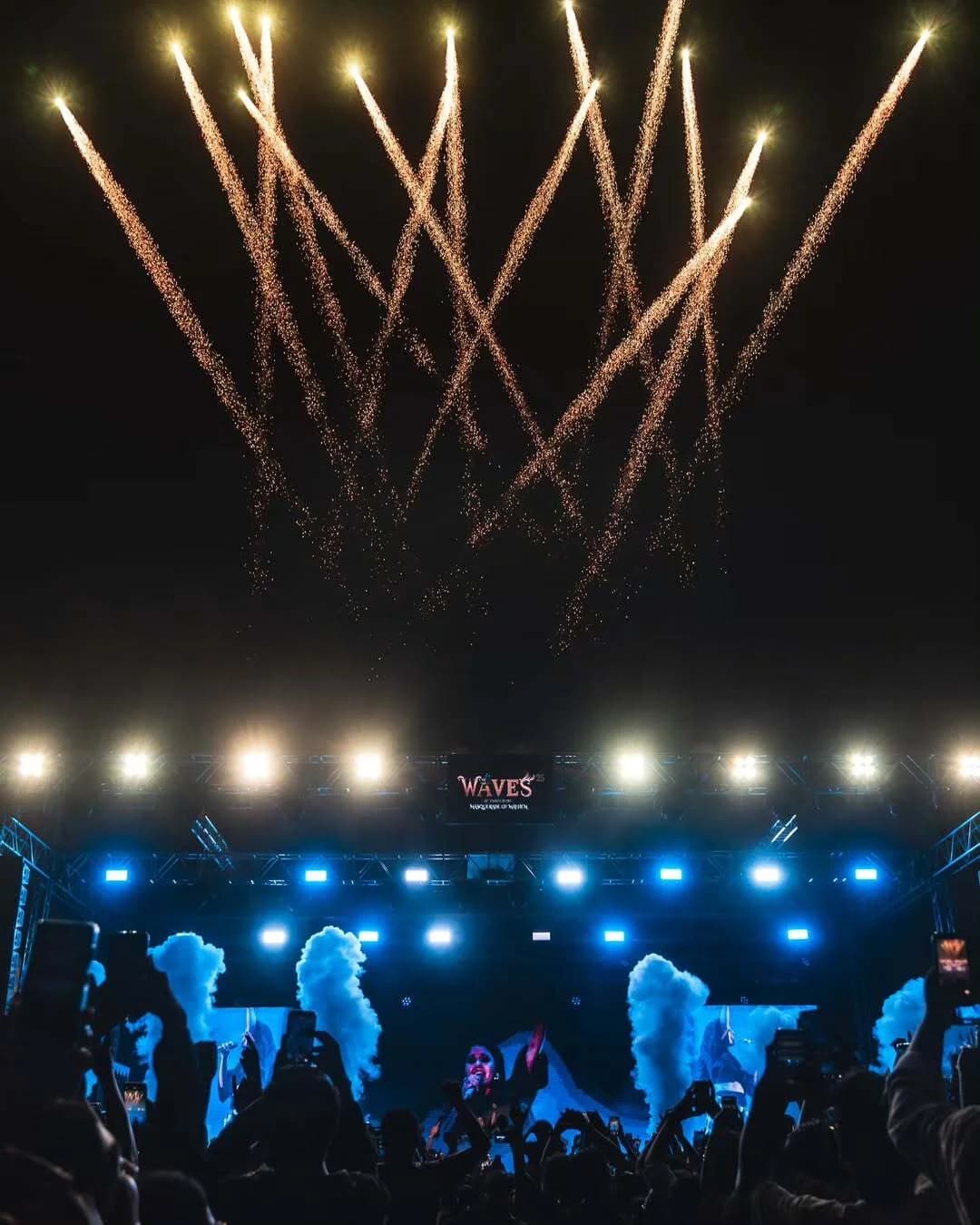 Waves 2025: A Celebration That Took Over Goa