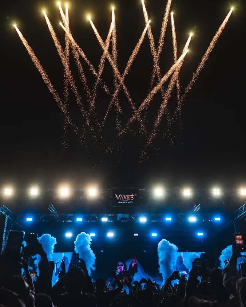 Waves 2025: A Celebration That Took Over Goa