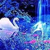 Nature and animals hidden numbers