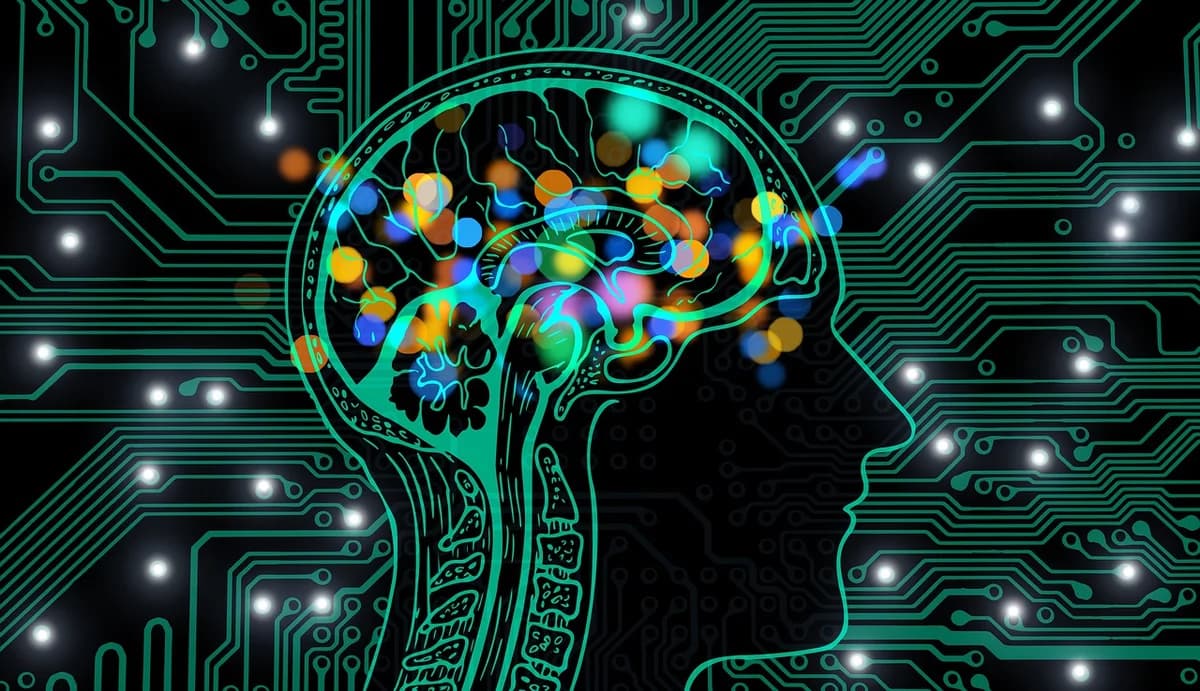 Top 5 Data Science Courses To Study In I