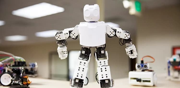 The Robotics Rage