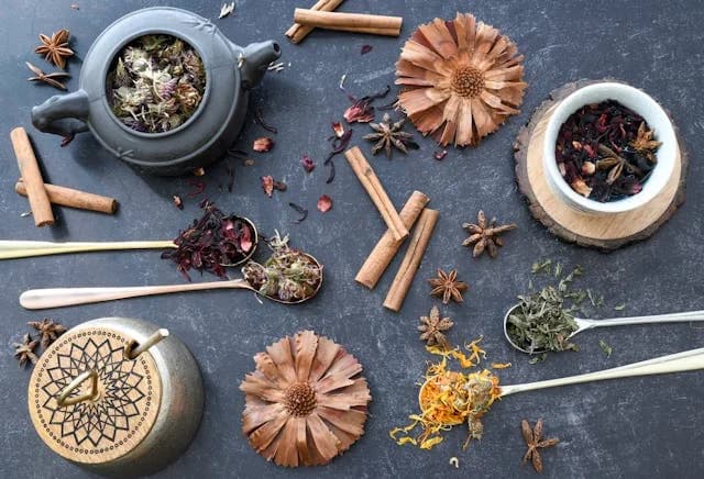 UGC NET Exam Introduces Ayurveda Biology As A New Subject