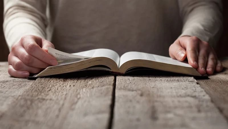 The Professional Bookworm