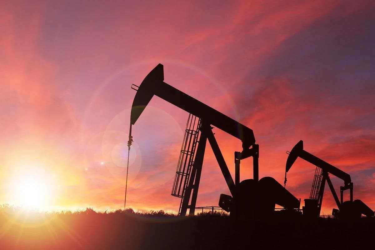 Netflix’s History 101 Introduced Me To T