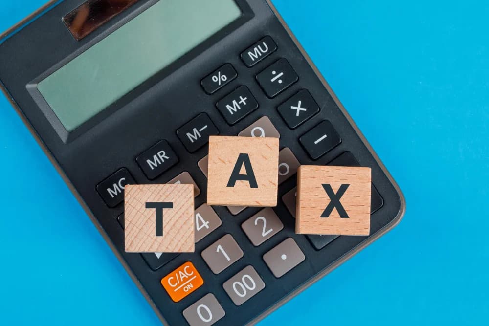 ITR Filing for Stay-at-Home Moms: Unders