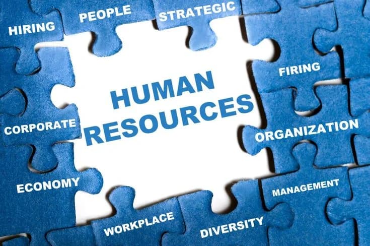 Becoming An HR Professional In 2024: Eli
