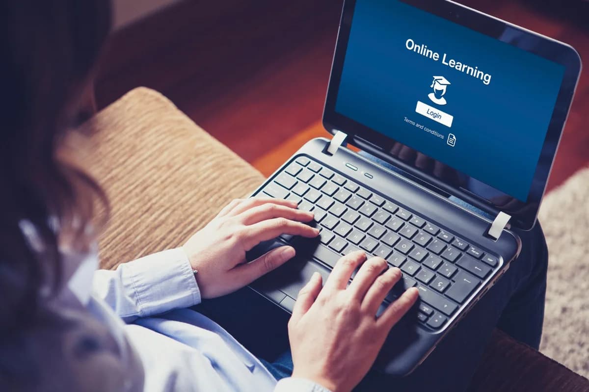 Online Courses: Bridging the Employabili