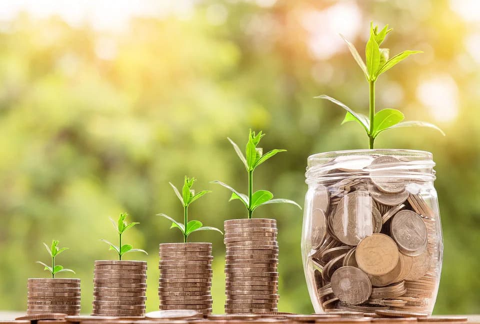 Save for Future or Spend for Present?