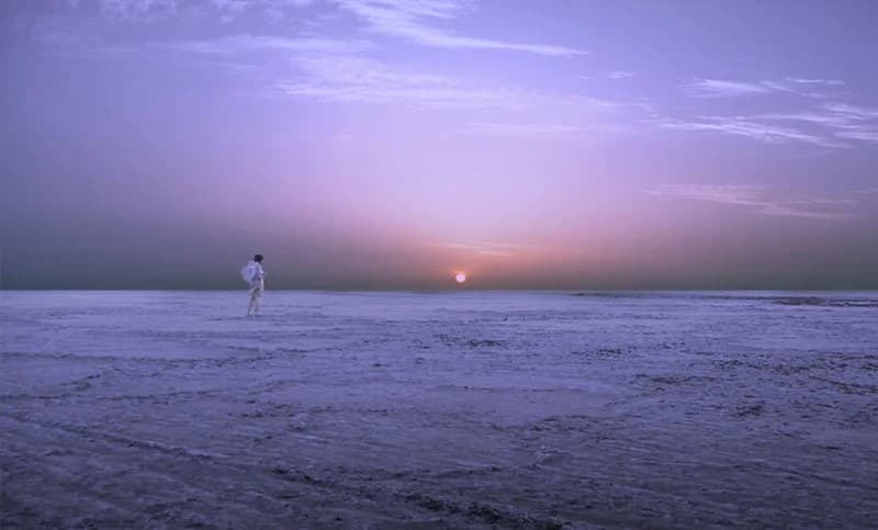 The Walk On White