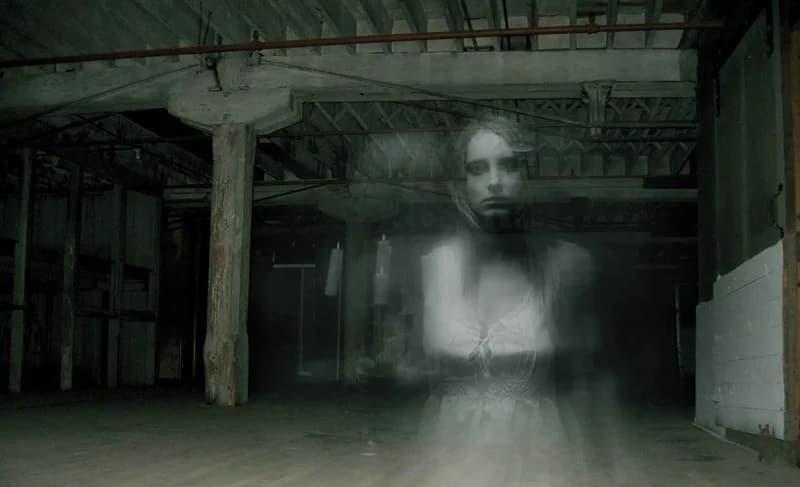 You Can Now Study ‘Bhoot Vidya’ At The B