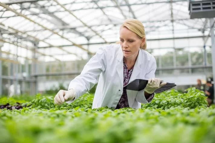 Explore Career Opportunities In The Plan