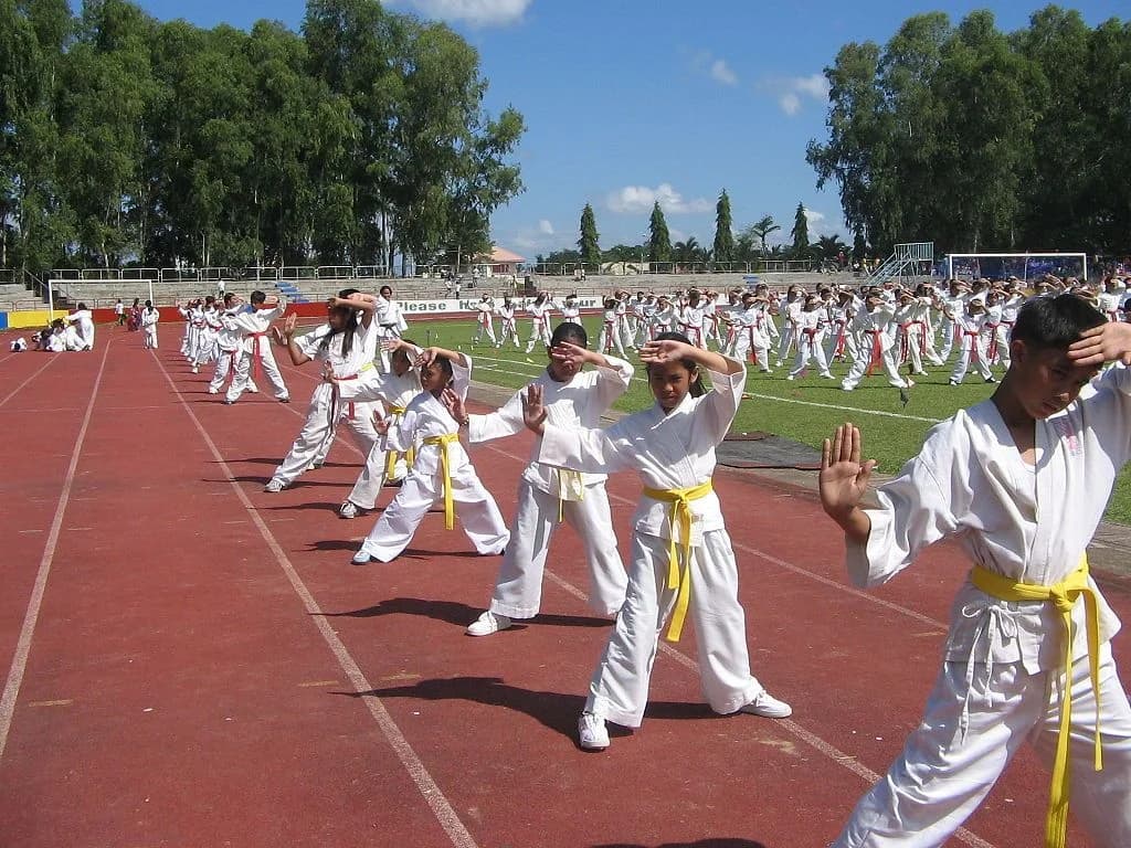 Self Defence – The Unfortunate Nee
