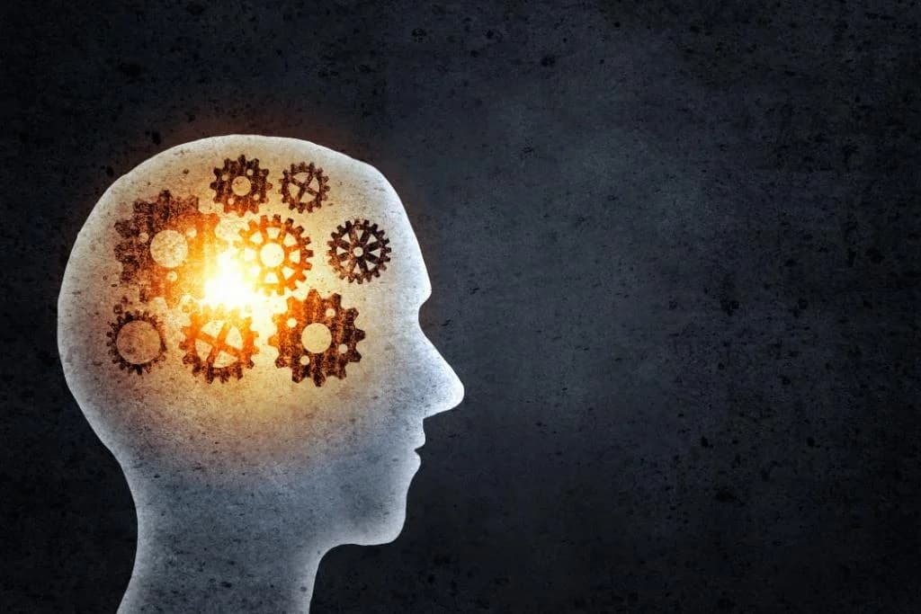 IT Engineering – Masters of Tech