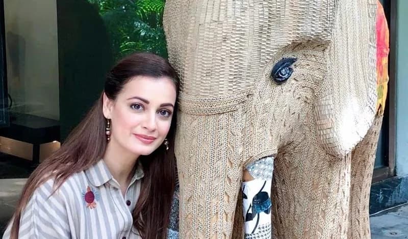 Launch: Dia Mirza Is the Voice of Ellie,