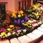 51-front-yard-and-backyard-landscaping-ideas-landscaping-designs-designing-a-flower-garden-layout-20