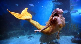 10 things every Piscean will get !
