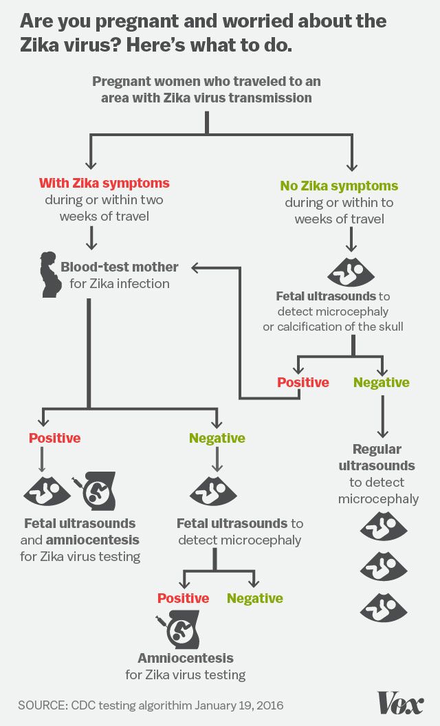 zika precaution