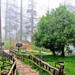 Dhanaulti_Eco_Park_in_Dhanaulti_wuorza