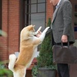 hachiko