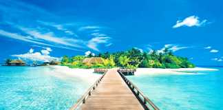 Study in a tropical island