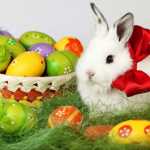 easter bunny
