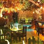 rainforest_restaurant