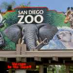 1416263697-venue-SDzoo