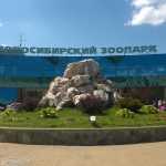 Novosibirsk_zoo_32