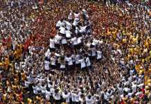 Dahi Handi