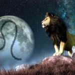 lionsymbol-1–579265345f9b58cdf300cca1