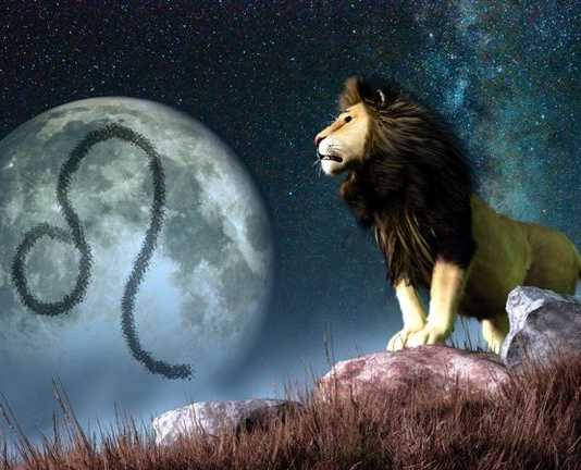 Warning!!! Potential Addiction – The Lions Are Here!! Leo