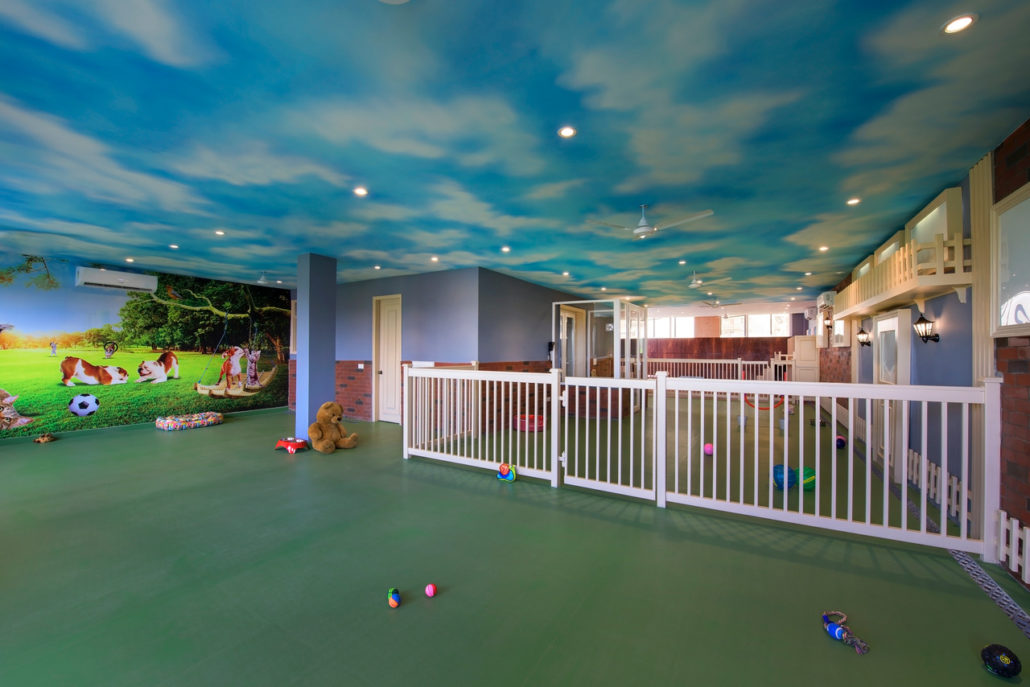 India Gets Its First Luxury Dog Hotel Criteratti india-gets-its-first-luxury-dog-hotel-criteratti